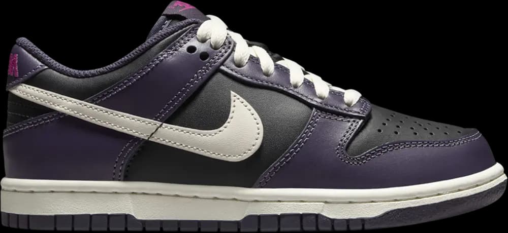 Giày Nike Dunk Low GS 'Dark Raisin' FB9109-003