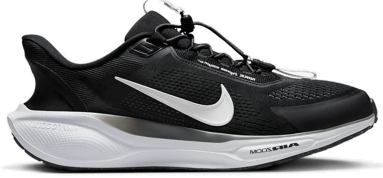 Giày Nike Pegasus EasyOn 'Black' FQ7837-002