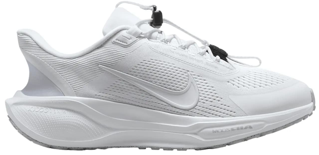 Giày Nike Pegasus Easyon 'White' FQ7837-101