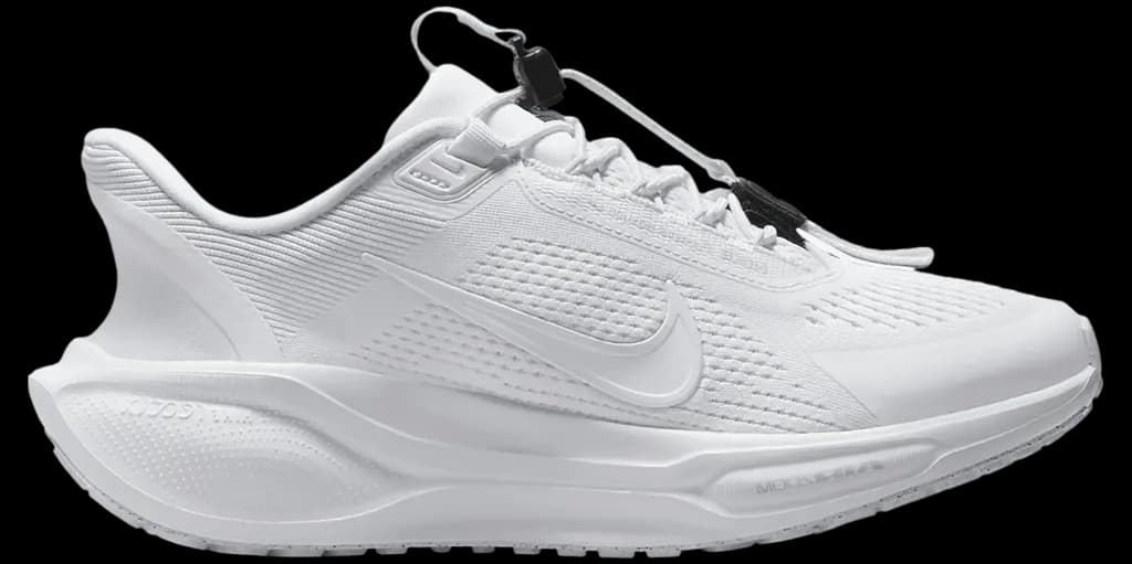 Giày Nike Air Zoom Pegasus 41 EasyOn 'White' FQ7844-101