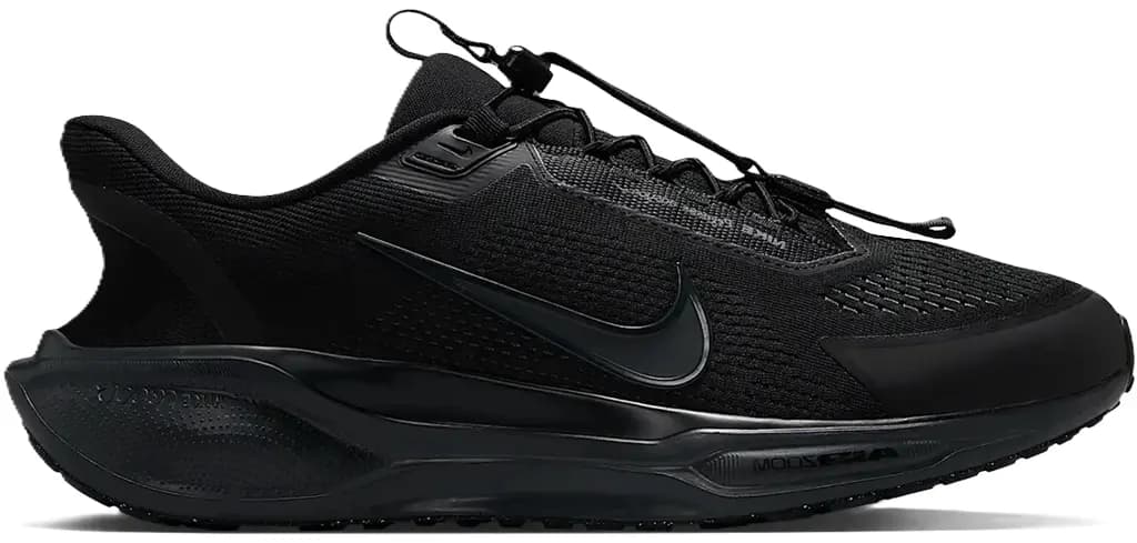 Giày Nike Air Zoom Pegasus 41 EasyOn 'Black Anthracite' FQ7837-001
