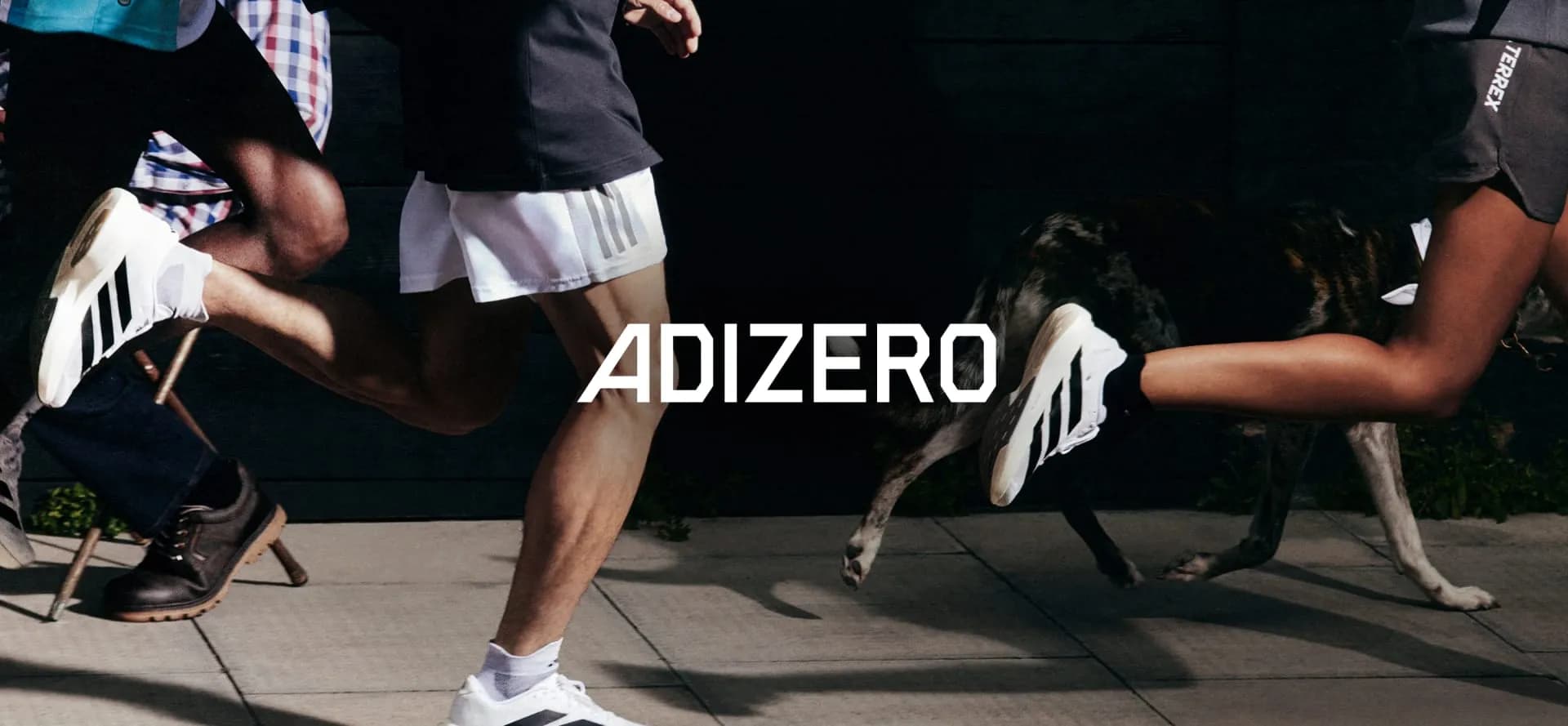 Review chi tiết Adidas Adizero Evo SL