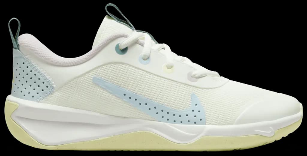 Giày Nike Omni Multi-Court GS 'Citron Tint Cobalt Bliss' DM9027-101