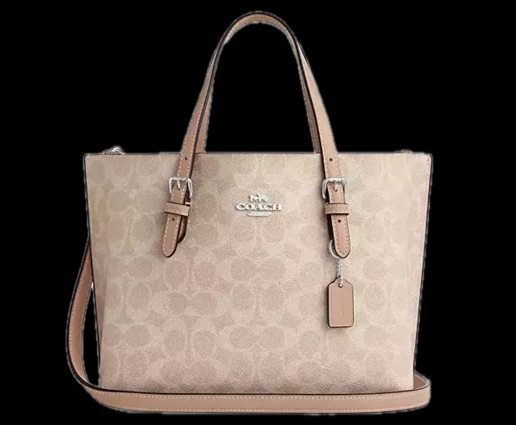 Túi Coach Mollie Tote Bag 25 'Taupe' CV965-SVPWH