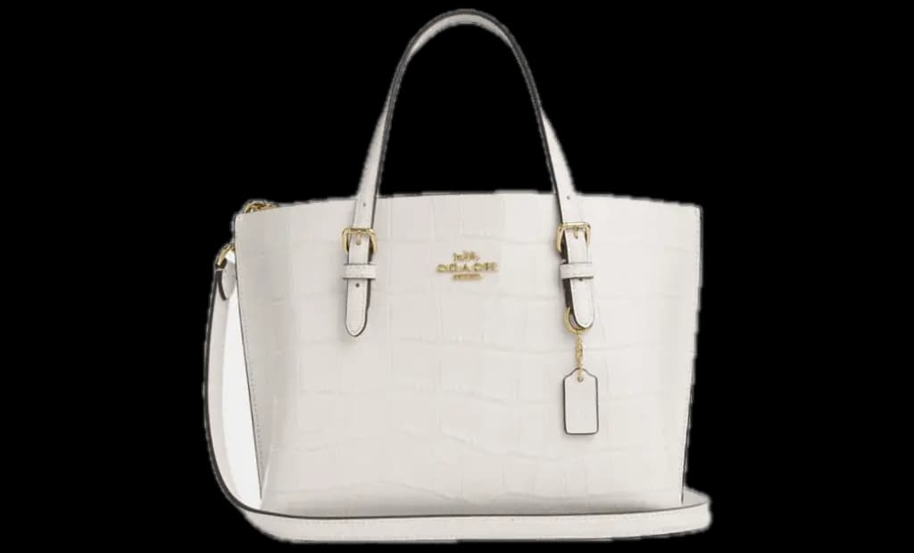 Túi Nữ Coach Mollie Tote Bag 25 'Chalk' CW017-IMCHK