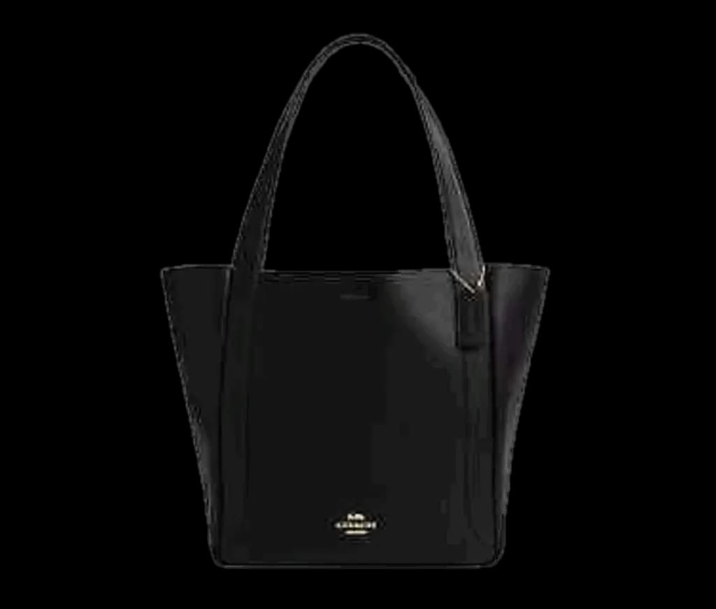 Túi Coach Hadley Tote Bag 'Black' CV996-IMBLK