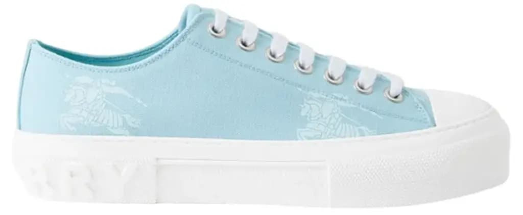 Giày Burberry Low Top Stylish Skateboarding 'Ocean Blue' 80699371
