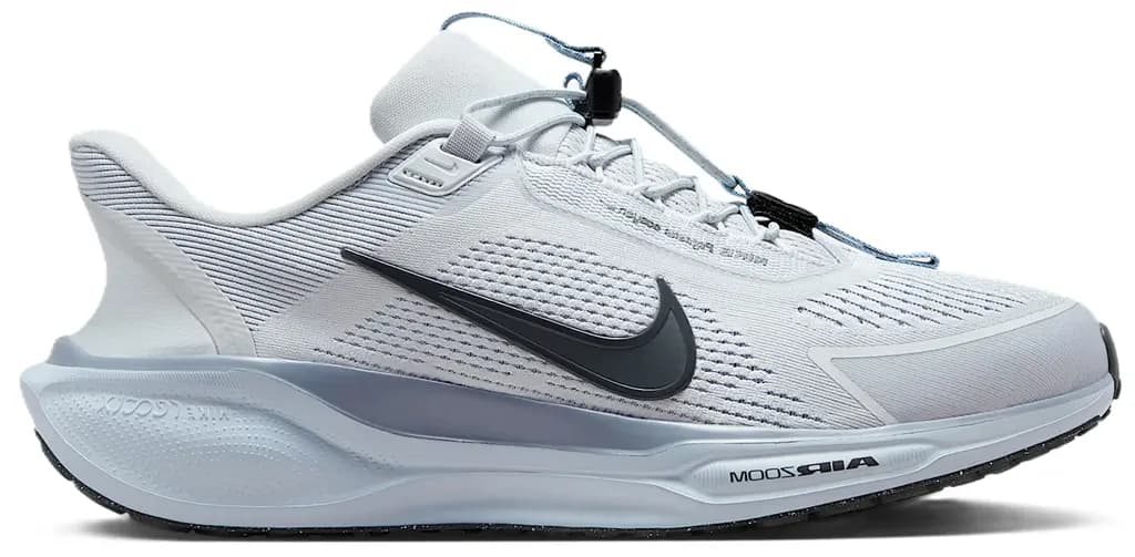 Giày Nike Pegasus EasyOn 'Pure Platinum' FQ7837-004