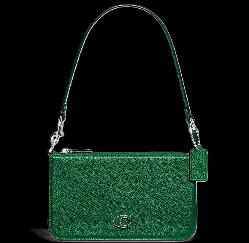Túi Coach Pouch Signature Canvas Detail 'Green' CJ797-TV4