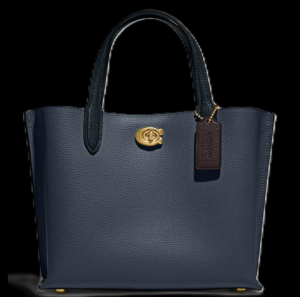 Túi Coach Willow Tote 24 In Colorblock 'Denim' C8561-B4DE