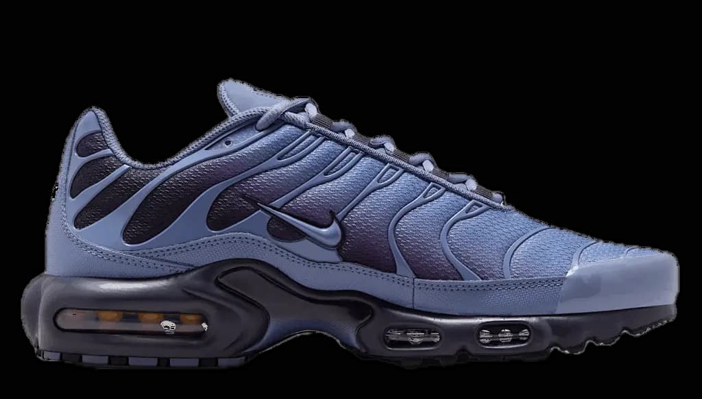 Giày Nike Air Max Plus 'World Indigo' DM0032-404