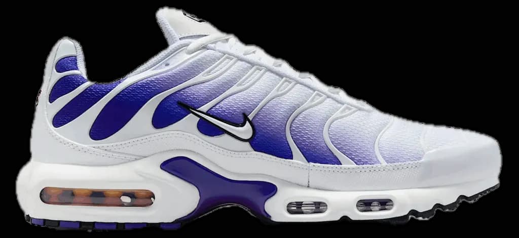 Giày Nike Air Max Plus 'White Wild Grape' DM0032-105
