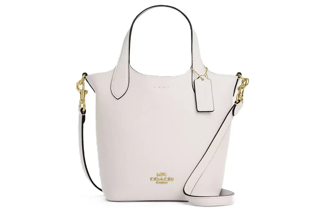 Túi Coach Hanna Bucket Bag 'White' CR168-IMCHK