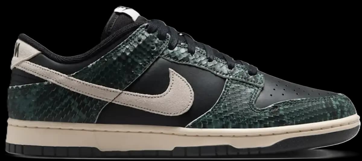 Giày Nike Dunk Low Retro 'Black Spruce' IO1616-001
