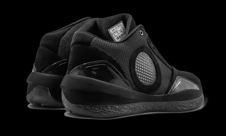 Giày Nike Air Jordan 2010 'Black Charcoal' 387358-001 — ảnh 3
