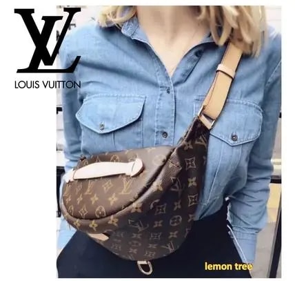 Túi Louis Vuitton Monogram Canvas Bumbag M43644 — ảnh 4