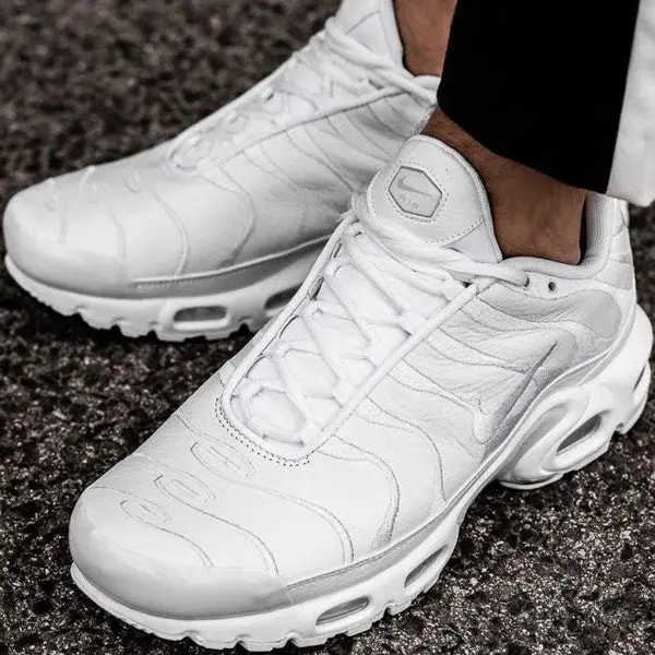 Giày Nike Air Max Plus TN 'Triple White' AJ2029-100 — ảnh 5