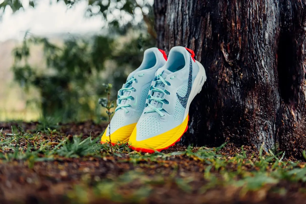 Giày Nike Air Zoom Terra Kiger 6 'Aura' CJ0219-400 — ảnh 3
