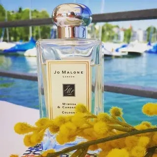 Nước Hoa Jo Malone Mimosa And Cardamom EDC — ảnh 3