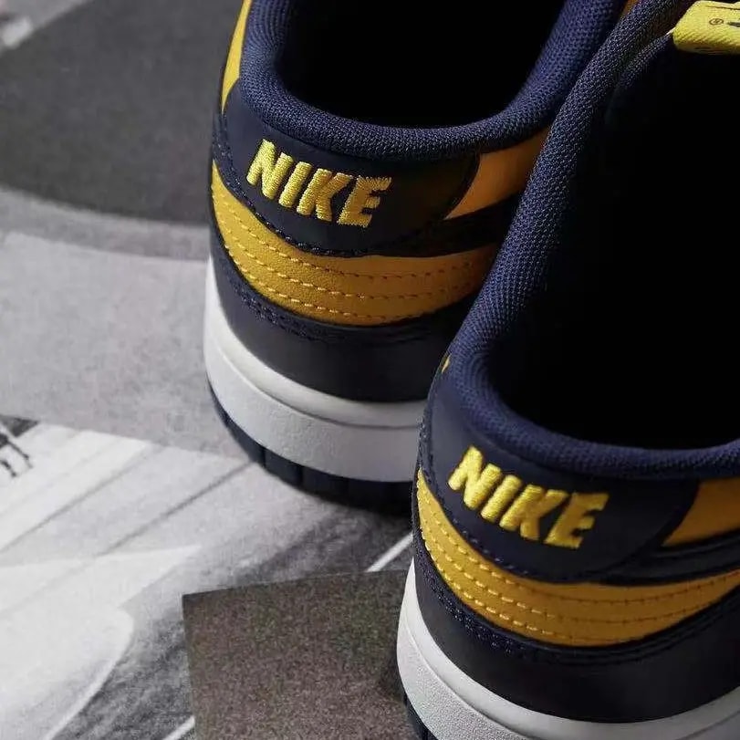 Giày Nike Dunk Low 'Michigan' 2021 DD1391-700 — ảnh 3