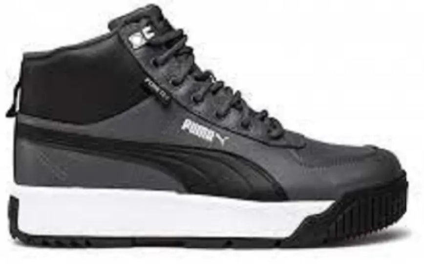 Giày Puma Terrenz Sb Puretex Ebony Puma Black Gray Violet 370552-07 — kich-thuoc: 40