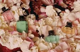 Nước Hoa Gucci Flora EDT 50ml — ảnh 2
