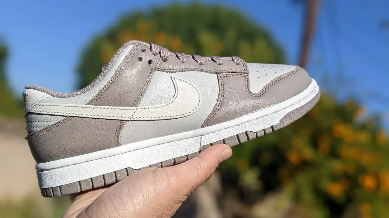 Giày Nike Dunk Low 'Bone Beige' FD0792-001 — ảnh 5