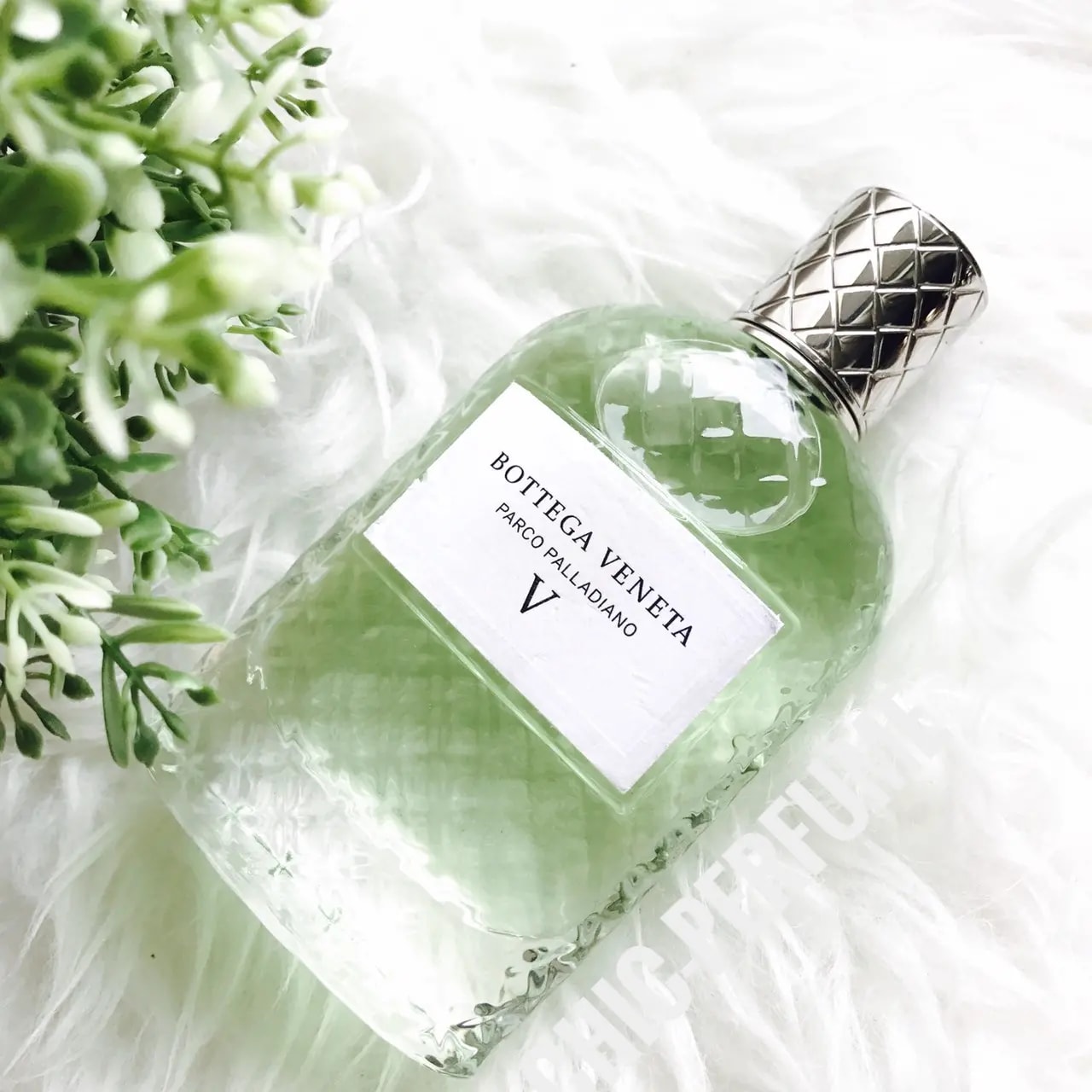 Nước Hoa Bottega Veneta Parco Palladiano V EDP — ảnh 3