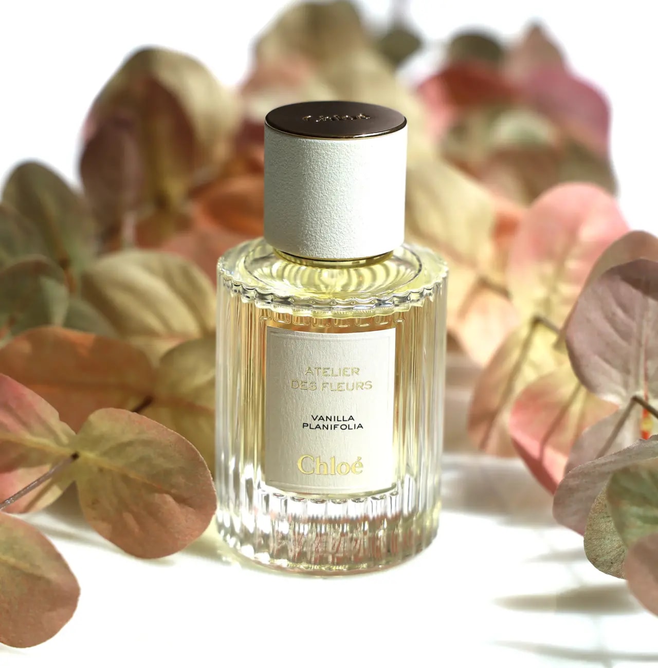 Nước Hoa Chloé Atelier Des Fleurs Vanilla Planifolia EDP — ảnh 3