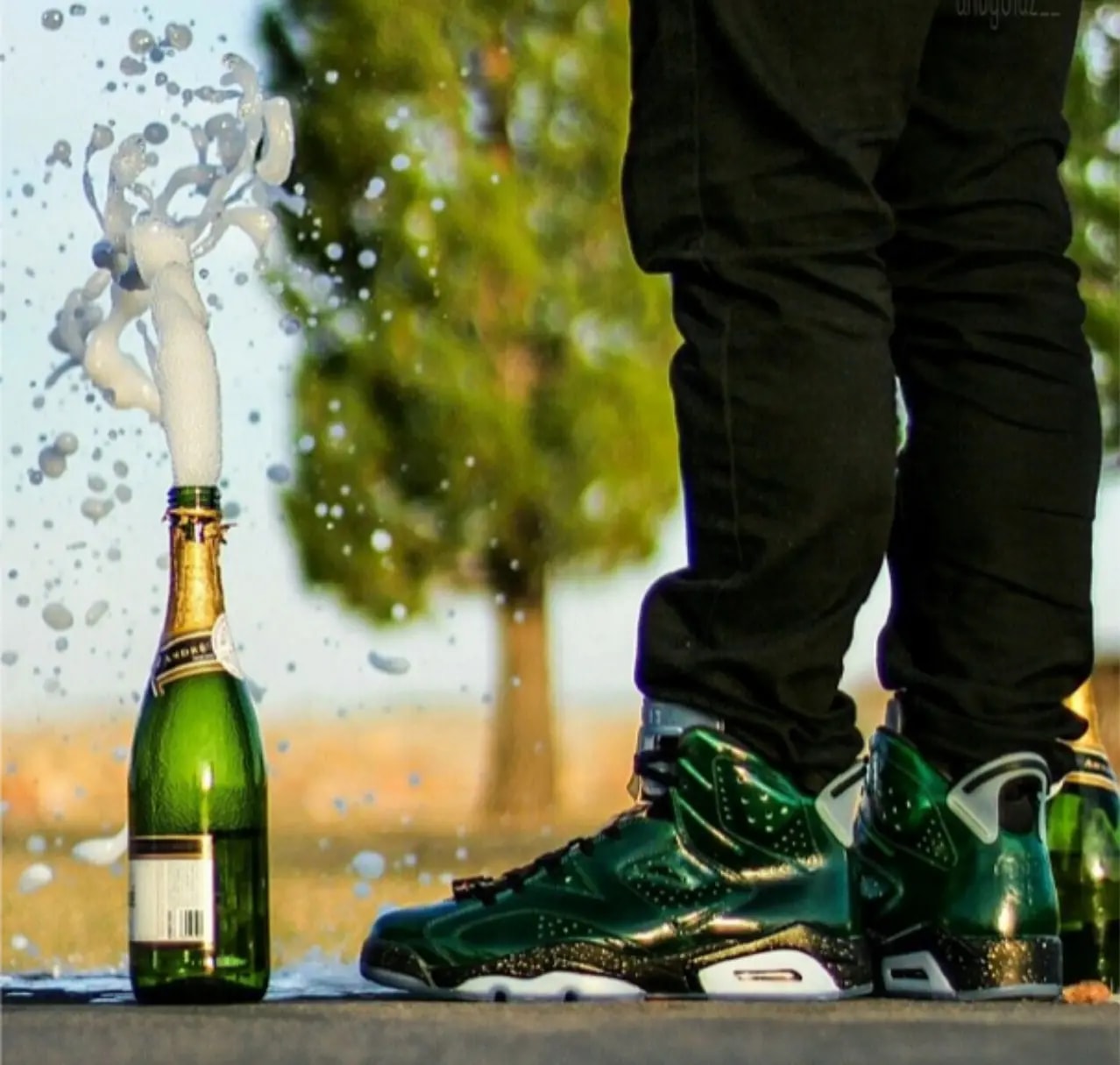 Giày Nike Jordan 6 Retro 'Champain Bottle' 384664-350 — ảnh 3