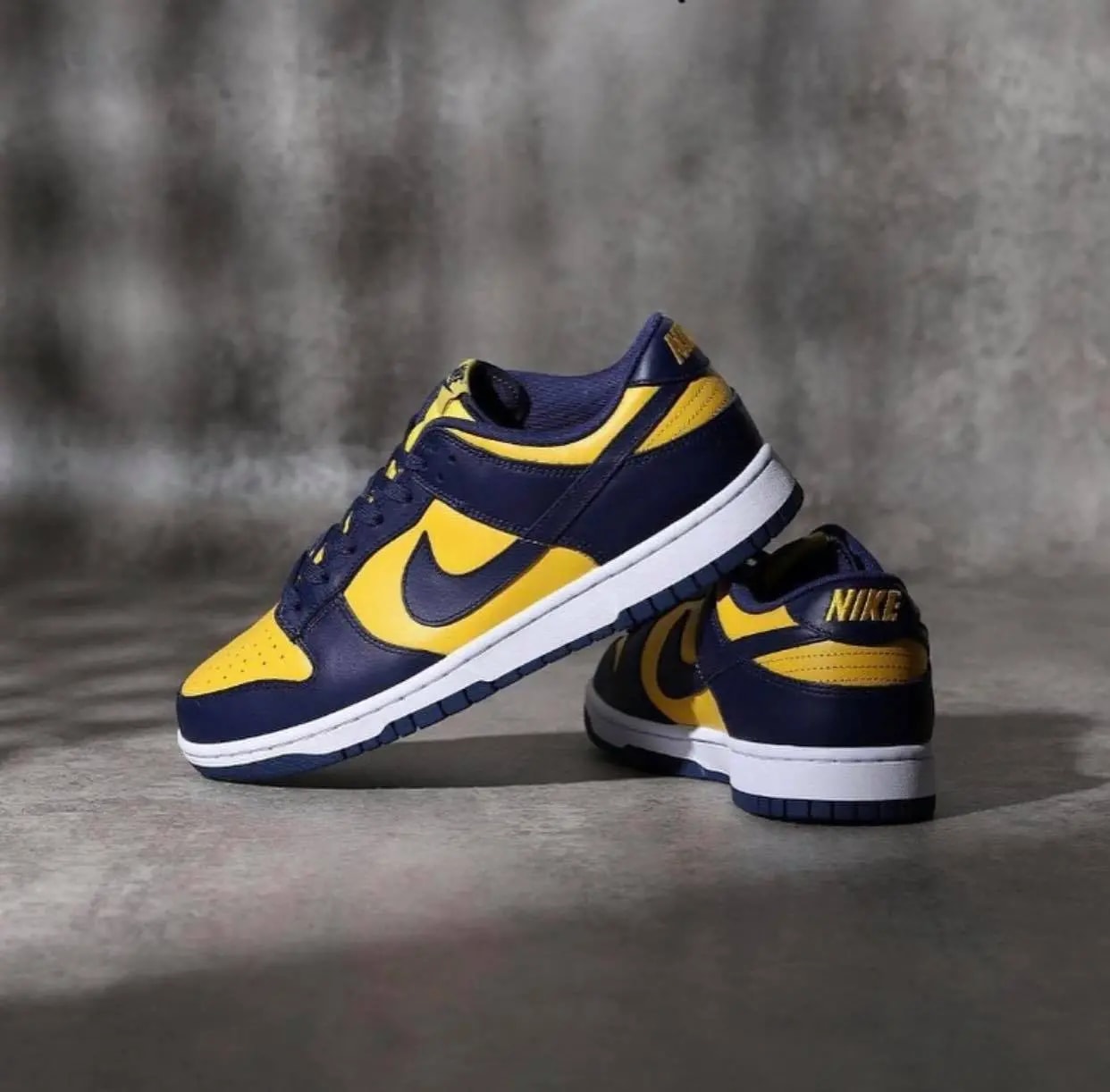 Giày Nike Dunk Low 'Michigan' 2021 DD1391-700 — ảnh 5