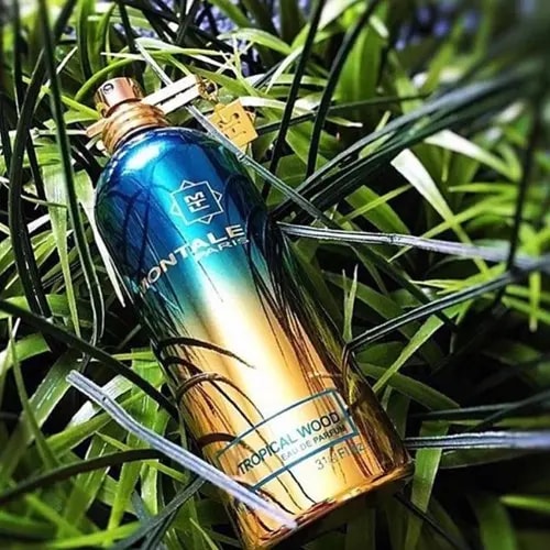 Nước Hoa Unisex Montale Tropical Wood 100ml — ảnh 2
