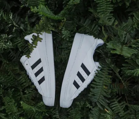 Giày Adidas Superstar MG 'Cloud White Black' FV3029 — ảnh 4