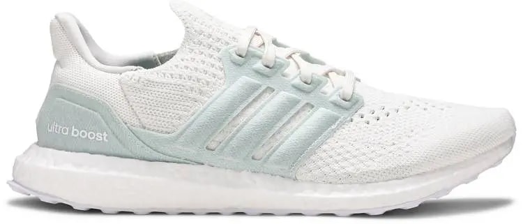 Giày Adidas Parley x UltraBoost 6.0 DNA 'Non Dyed' FZ0250 — kich-thuoc: 40