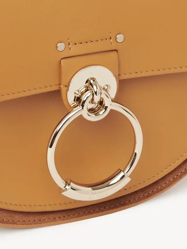 Túi Chloe Tess Small Purse In Shiny &amp; Suede Calfskin CHC21-WS153F27-211 — ảnh 3