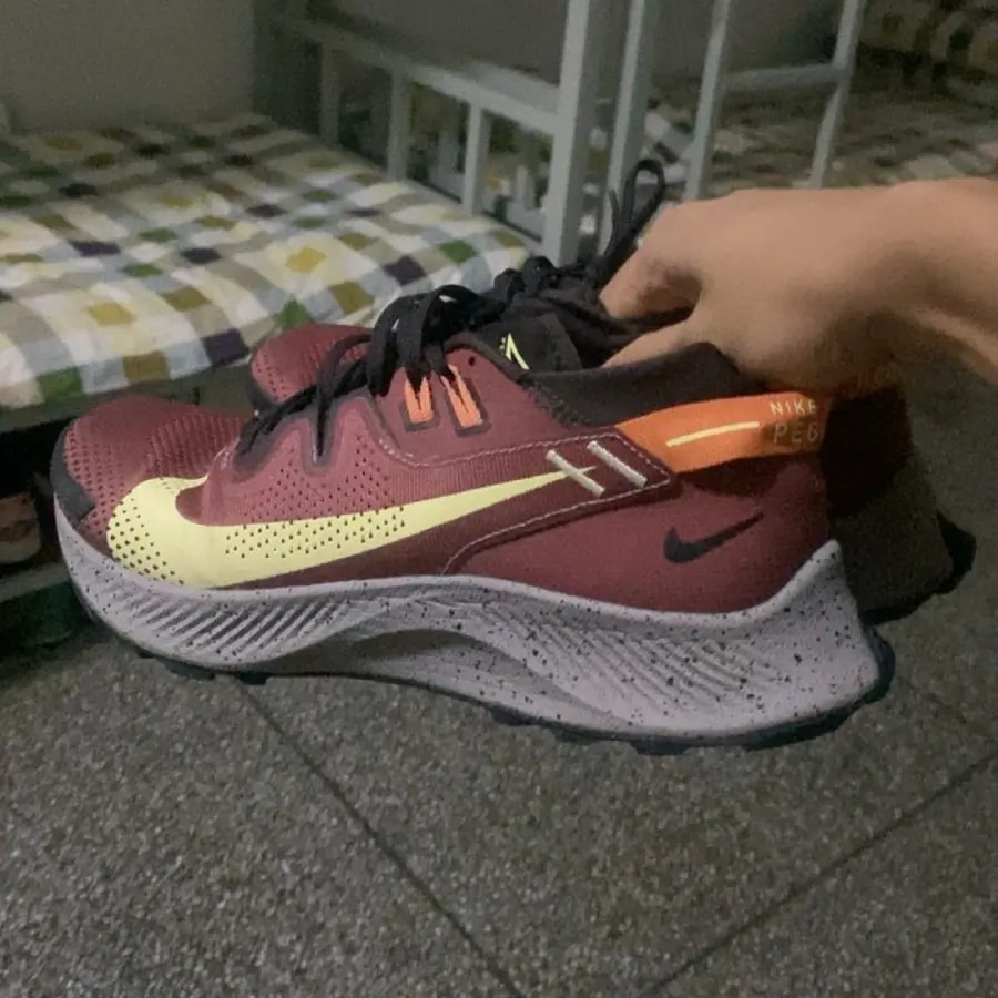 Giày Nike Pegasus Trail 2 Claystone Red CK4305-600 — ảnh 4