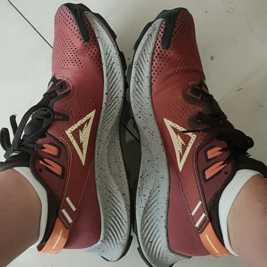 Giày Nike Pegasus Trail 2 Claystone Red CK4305-600 — ảnh 5