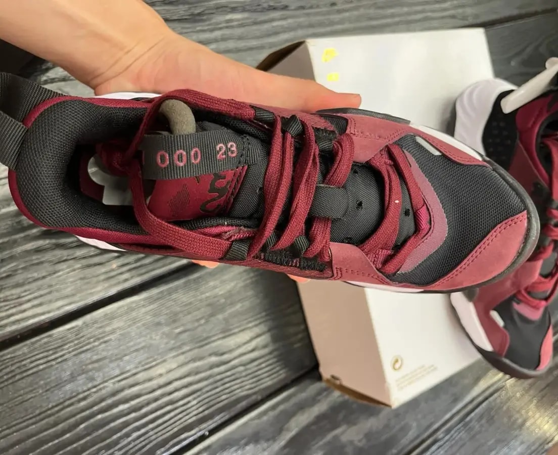 Giày Nike Air Jordan Delta 'Black Dark Beetroot' DB6175-006 — ảnh 5