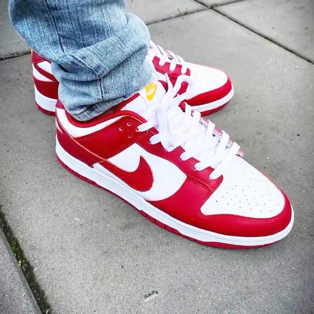 Giày Nike Dunk Low Retro 'Gym Red' DD1391-602 — ảnh 3