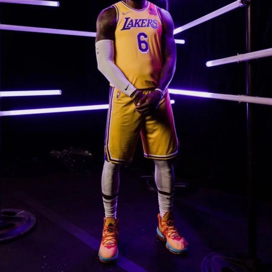 Giày Nike Lebron 19 'Tune Squad' DC9338-800 — ảnh 4