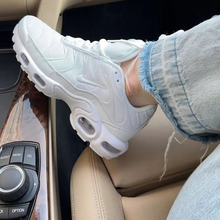 Giày Nike Air Max Plus TN 'Triple White' AJ2029-100 — ảnh 4
