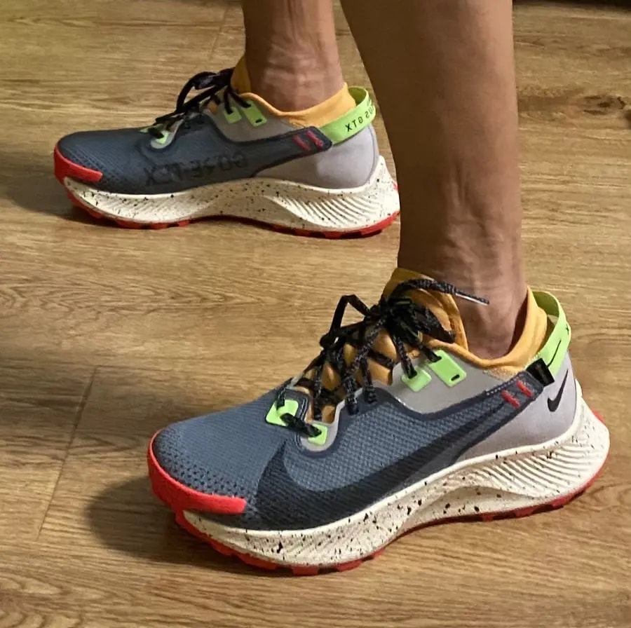 Giày Nike Pegasus Trail 2 GTX 'Smoke Grey Bucktan' CU2016-002 — ảnh 2