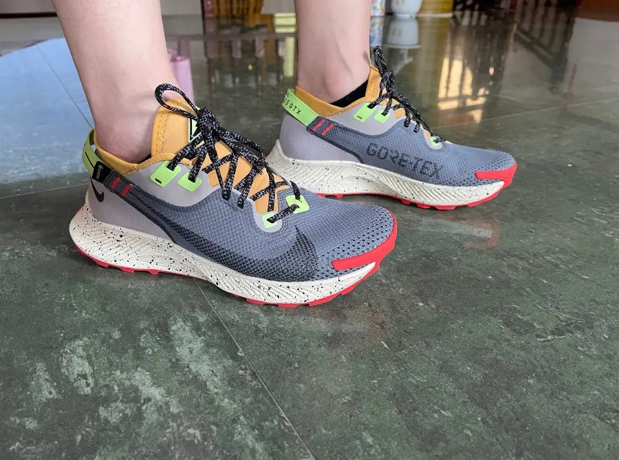 Giày Nike Pegasus Trail 2 GTX 'Smoke Grey Bucktan' CU2016-002 — ảnh 3