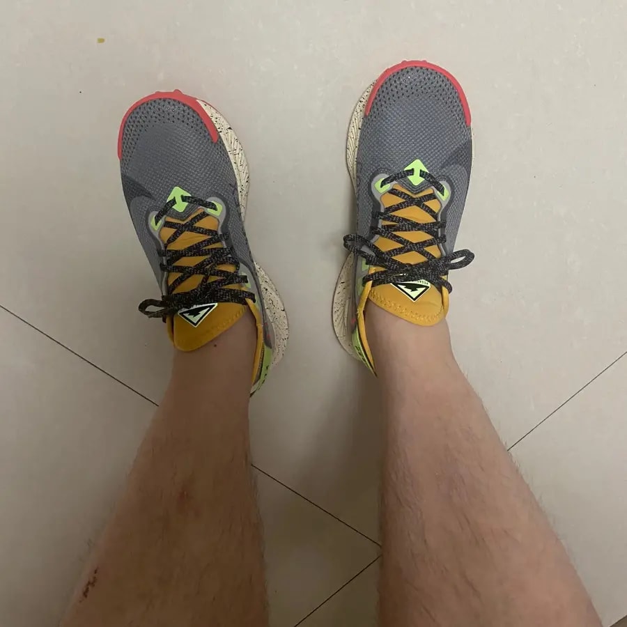 Giày Nike Pegasus Trail 2 GTX 'Smoke Grey Bucktan' CU2016-002 — ảnh 5