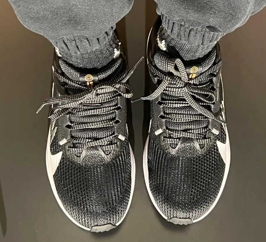 Giày Nike Pegasus 40 Premum 'Black White Grey' FB7703-001 — ảnh 5