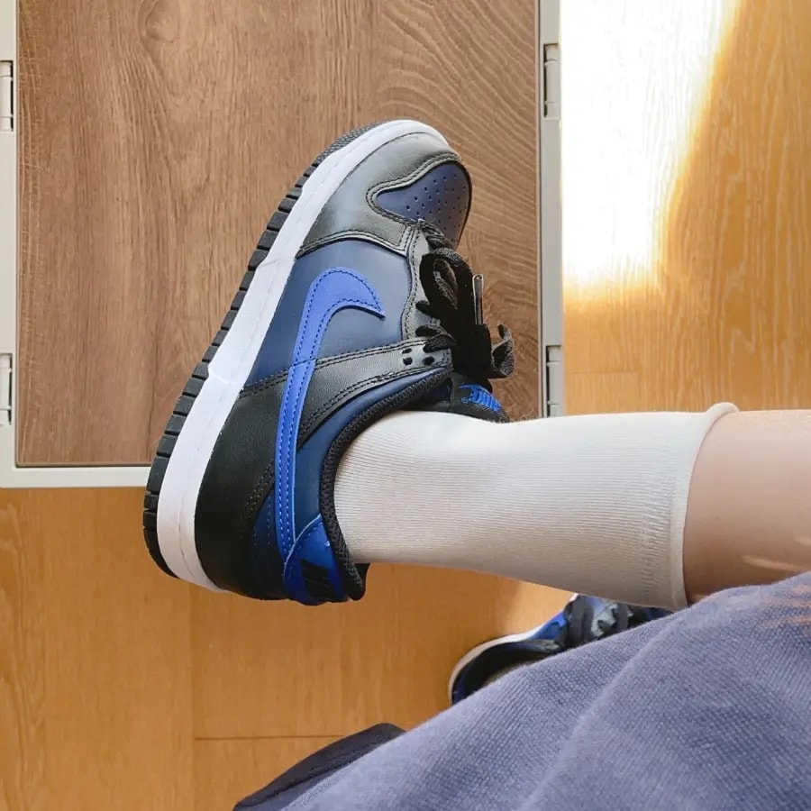 Giày Nike Dunk Low 'Midnight Navy' DH9765-402 — ảnh 5