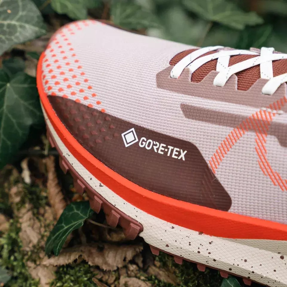 Giày Nike Pegasus Trail 4 Gore-tex 'Diffused Taupe' DJ7926-200 — ảnh 4