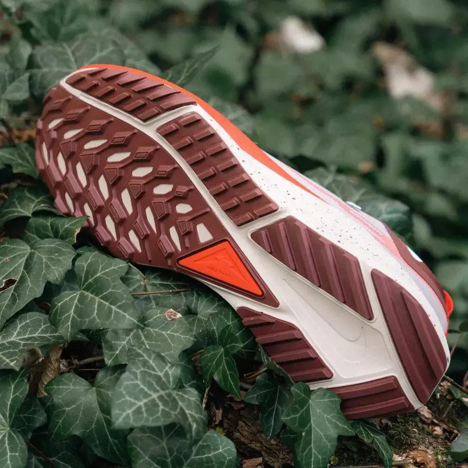 Giày Nike Pegasus Trail 4 Gore-tex 'Diffused Taupe' DJ7926-200 — ảnh 5