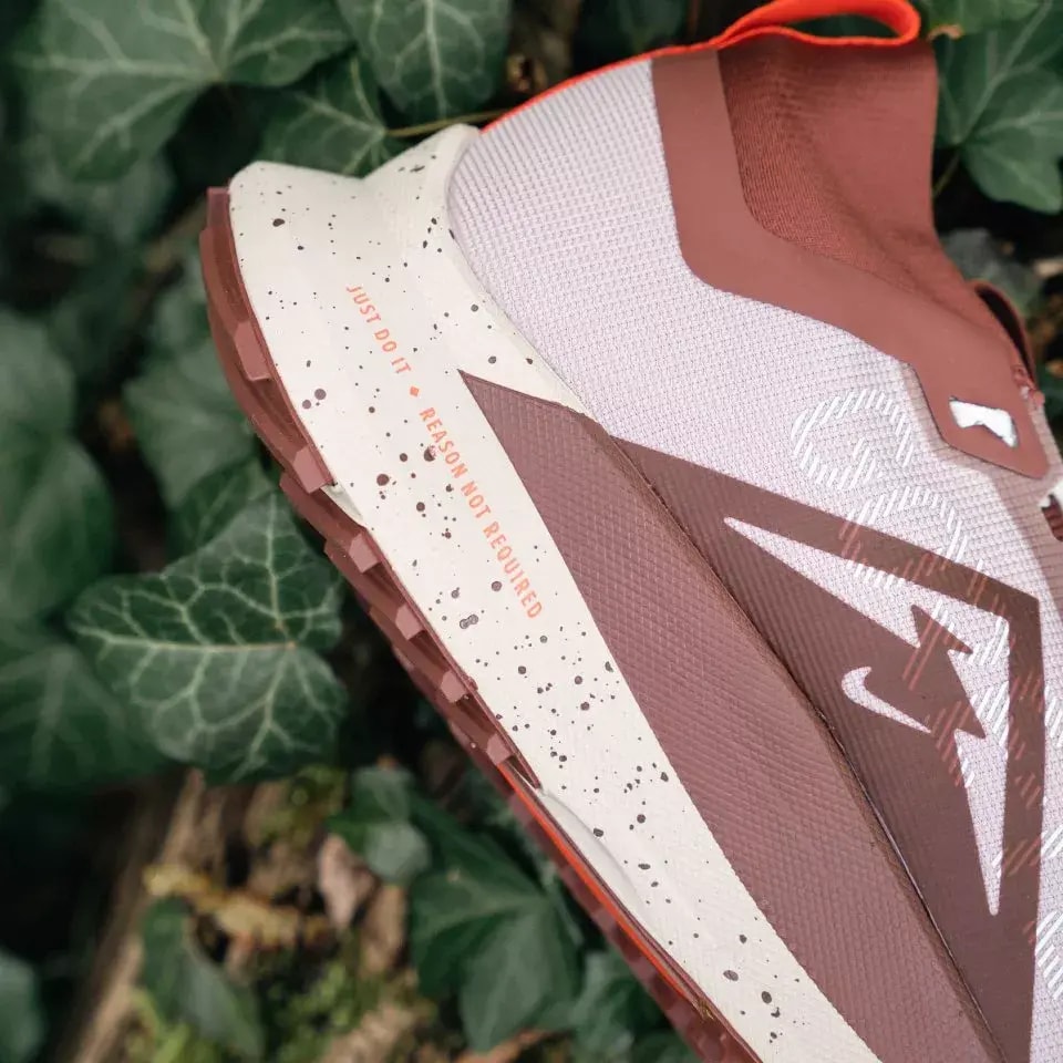 Giày Nike Pegasus Trail 4 Gore-tex 'Diffused Taupe' DJ7926-200 — ảnh 3