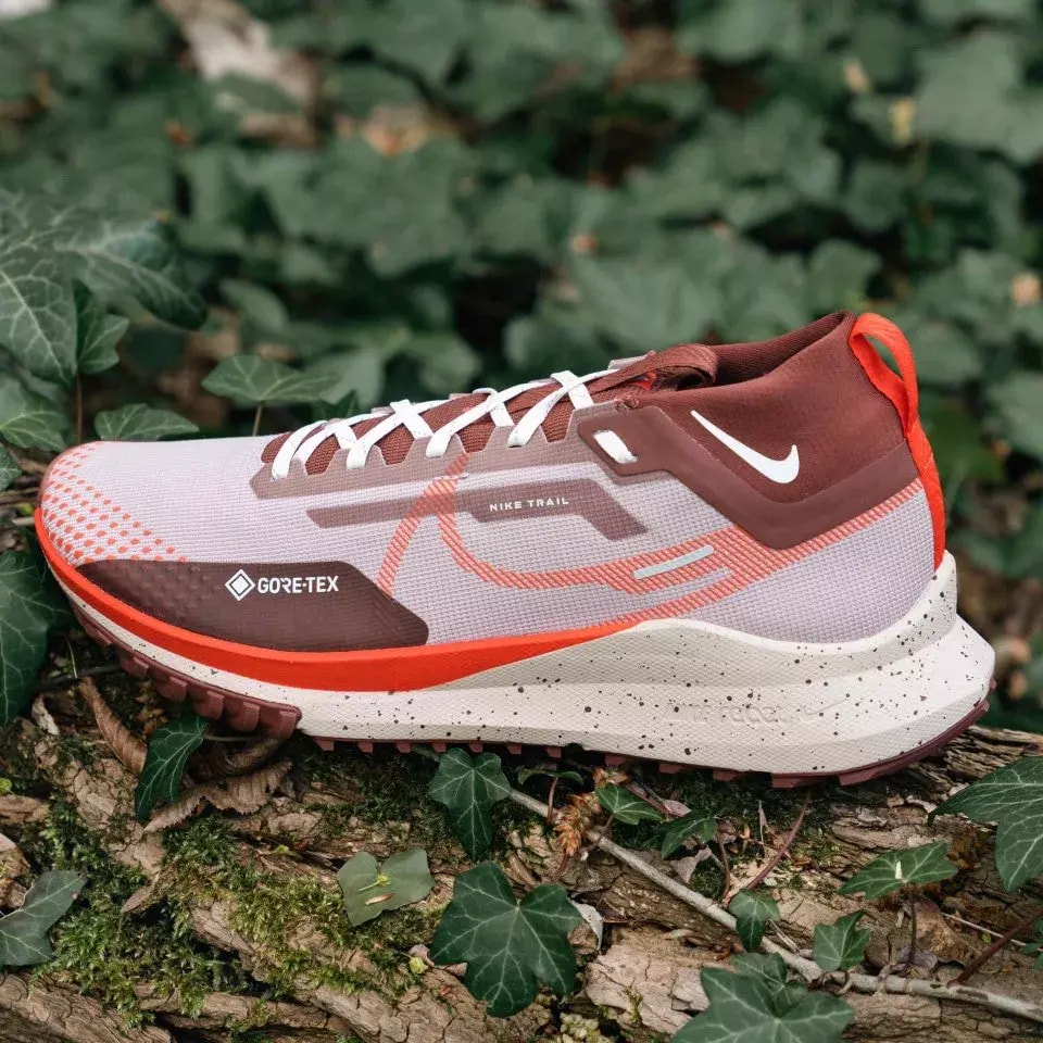 Giày Nike Pegasus Trail 4 Gore-tex 'Diffused Taupe' DJ7926-200 — ảnh 2